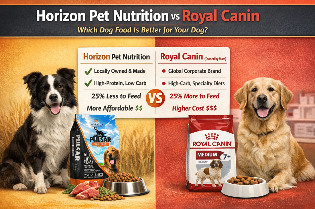 Horizon Pet Nutrition vs Royal Canin: Which Dog Food Is Better for Your Dog?