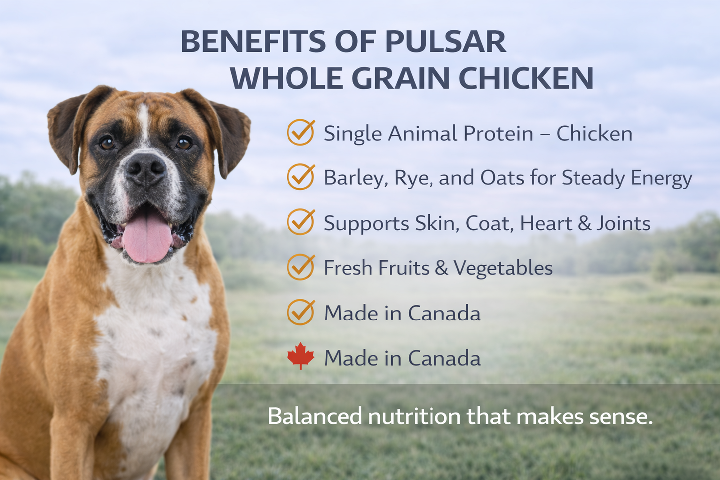 Horizon Pulsar Whole Grain Chicken Dog Food