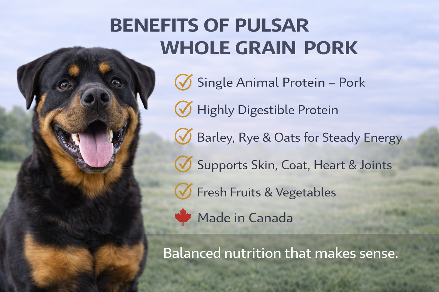 Horizon Pulsar Whole Grain Pork Dog Food