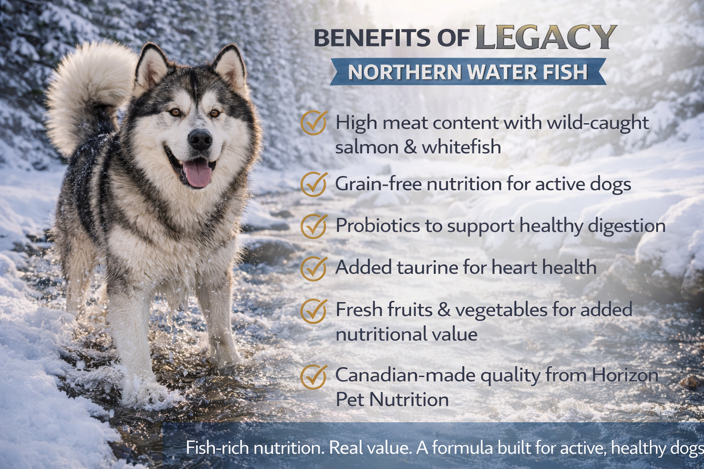 Horizon Legacy Northern Water Fish Recipe Dog Food