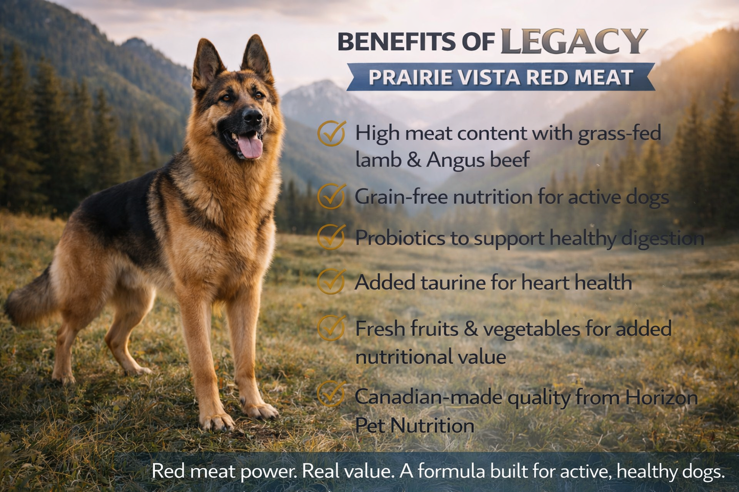 Horizon Legacy Prairie Vista Red Meat Blend Dog Food