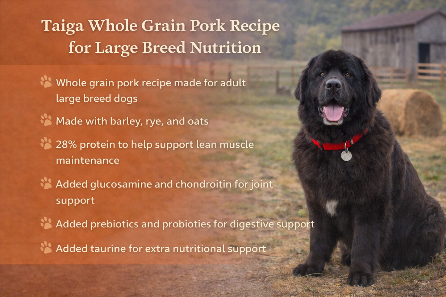 Horizon Taiga Large Breed Whole Grain Pork Dry Dog Food