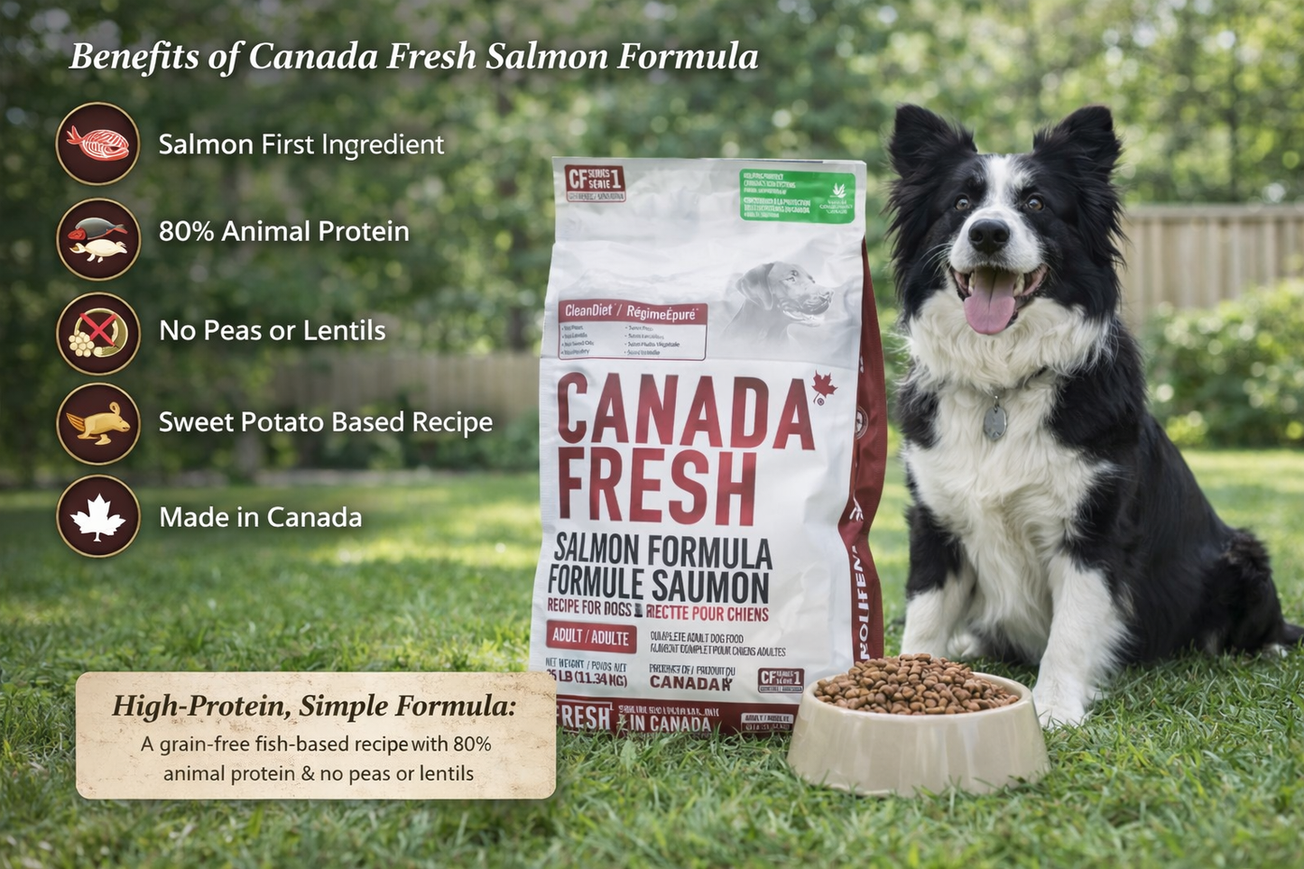 PetKind Canada Fresh Salmon Formula Dog Food