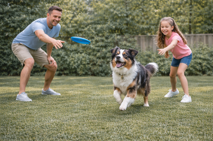 PetKind Canada Fresh Lamb Formula Dog Food