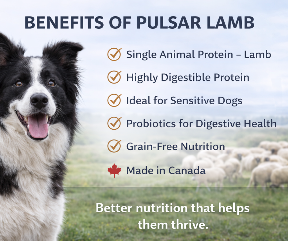 Horizon Pulsar Grain Free Lamb Dog Food