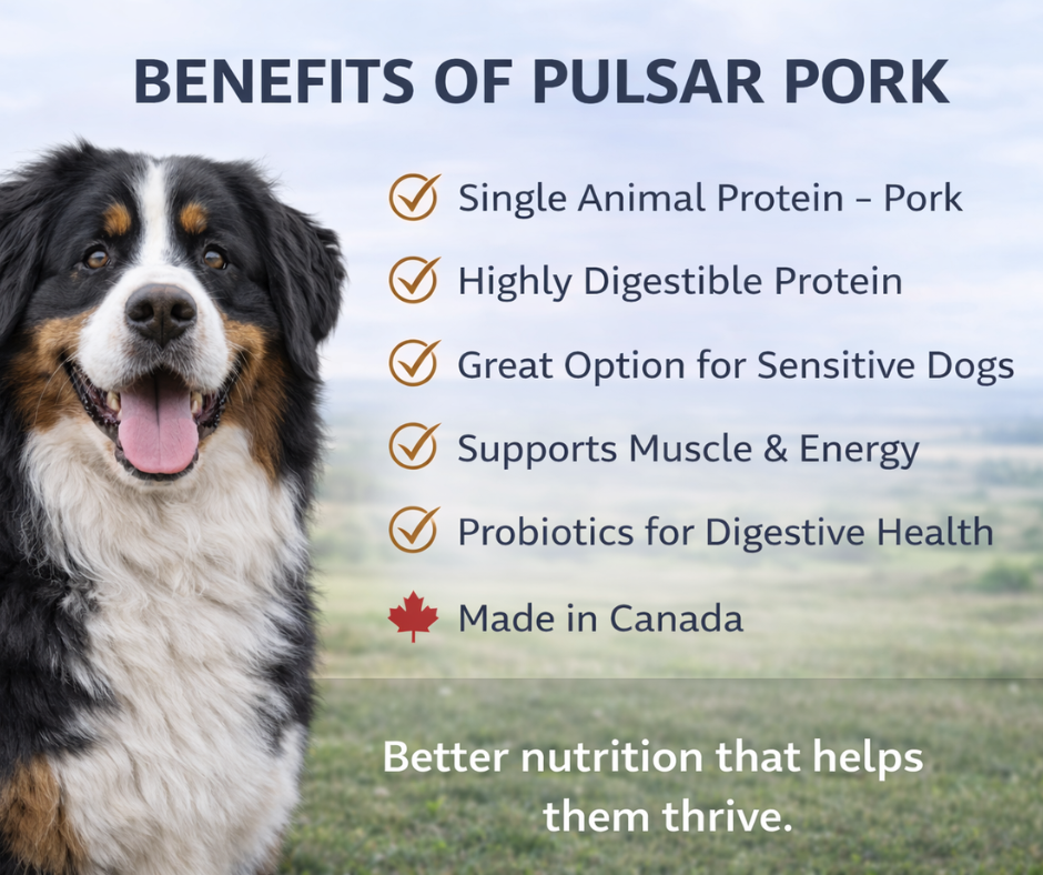 Horizon Pulsar Grain Free Pork Dog Food