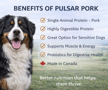 Horizon Pulsar Grain Free Pork Dog Food