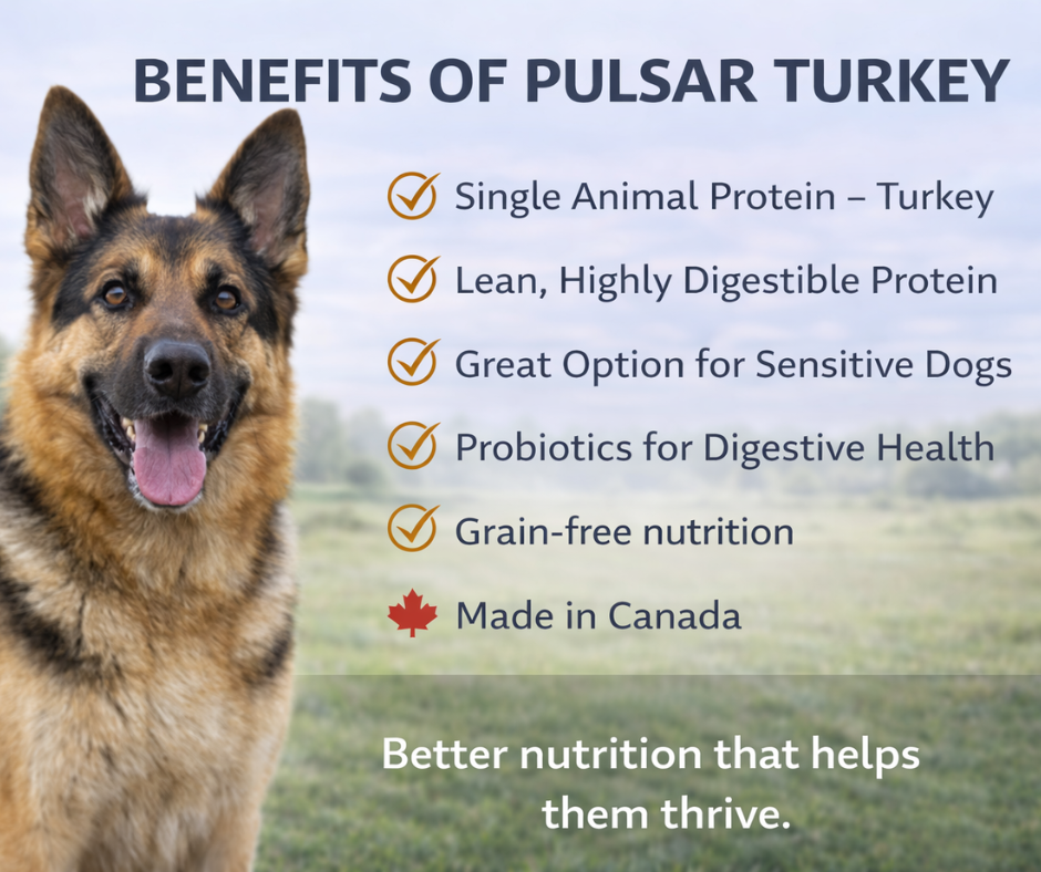 Horizon Pulsar Grain Free Turkey Dog Food