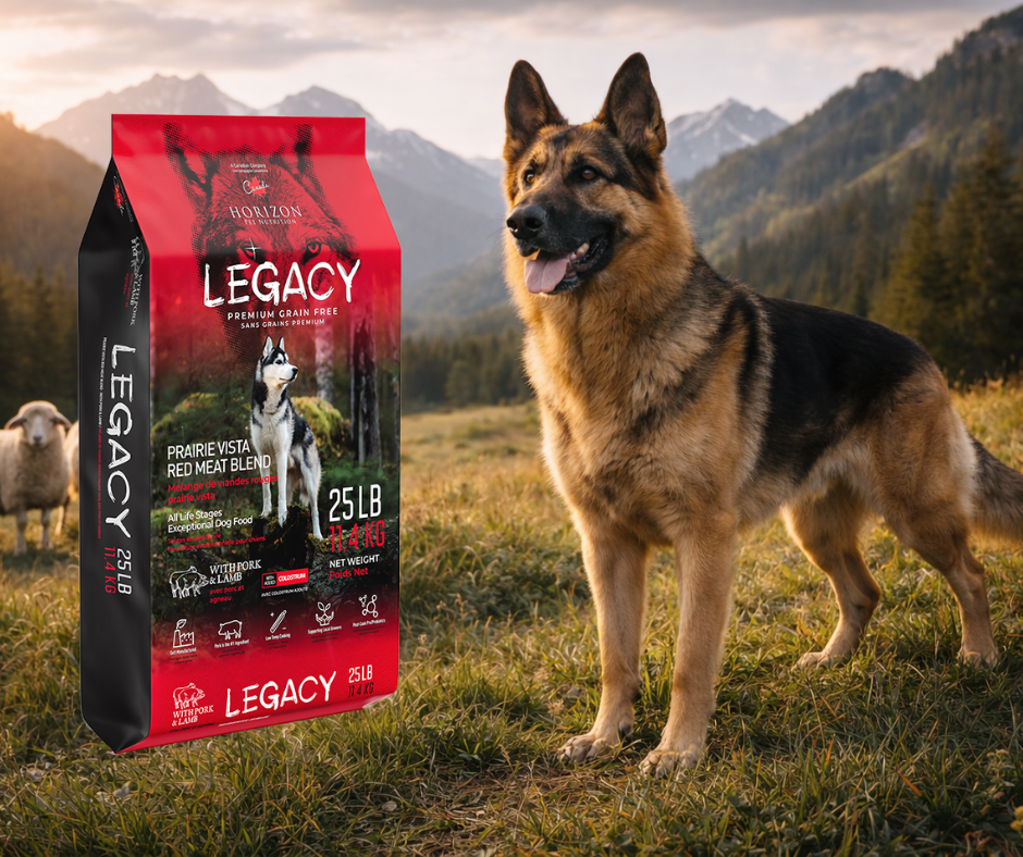 Horizon Legacy Prairie Vista Red Meat Blend Dog Food