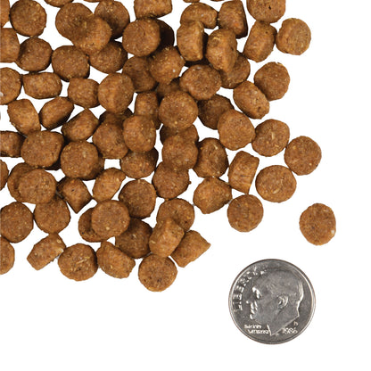 Fromm Gold Large Breed Puppy Dog Food